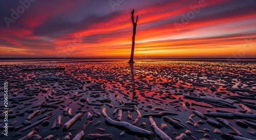 A single tall dead tree trunk stands vertically on a wet beach covered with thousands of small pieces of wood, reflecting a fiery red and orange sunset sky