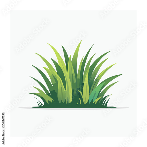 Snake plant in pot on white background