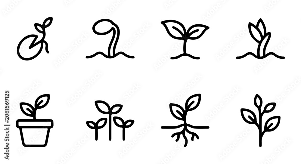 Fototapeta premium Plant Growth Stages Icons, Seedling Development Vector Set, Sprout Life Cycle Illustrations