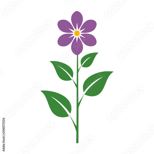 Simple purple flower with green leaves and stem