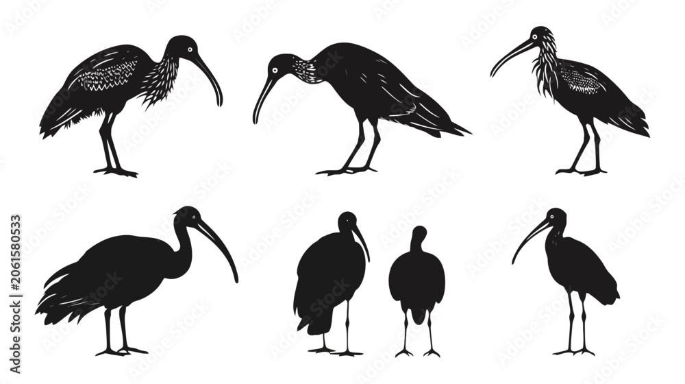 Obraz premium Silhouettes of elegant ibis birds in various poses, showcasing their distinctive curved beaks.