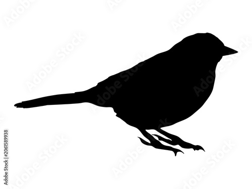 Titmouse bird silhouette vector illustration. Black shape of cute parus major character sitting isolated on white background. Spring wildlife avian stencil, icon, sign for logo design