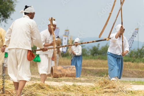 Fotografie Traditional Korean farming reenactment with villagers using flails and farm tools in a rural harvest field during a folk festival