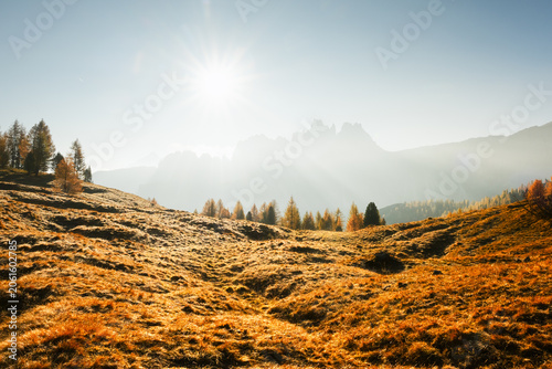 Slika na platnu Sun rays spread across alpine meadows beneath hazy mountain peaks in the Dolomites