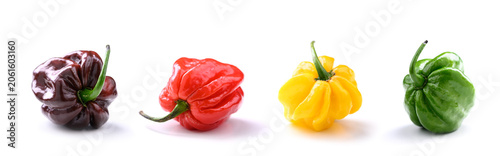 Foto Set of habanero peppers in multiple colors isolated on white background