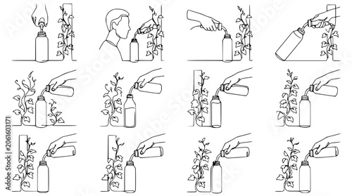Photos Plant care instructions: How to water a plant from a bottle, step-by-step diagra