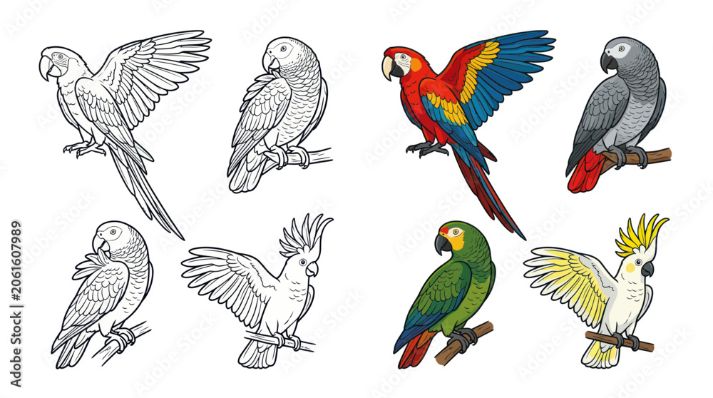 Obraz premium Collection of Parrots: Colorful and Sketchy Illustrations