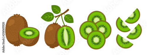 Kiwi fruit collection, featuring whole, halved, round slices, and wedge pieces, perfect for healthy eating concepts