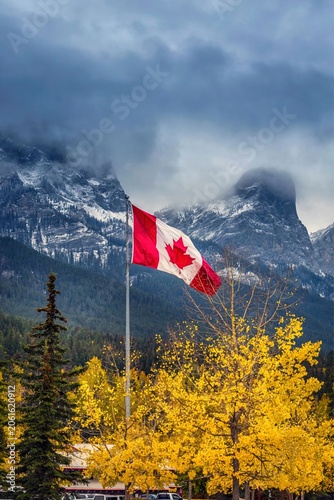 Canadian Flag Waving