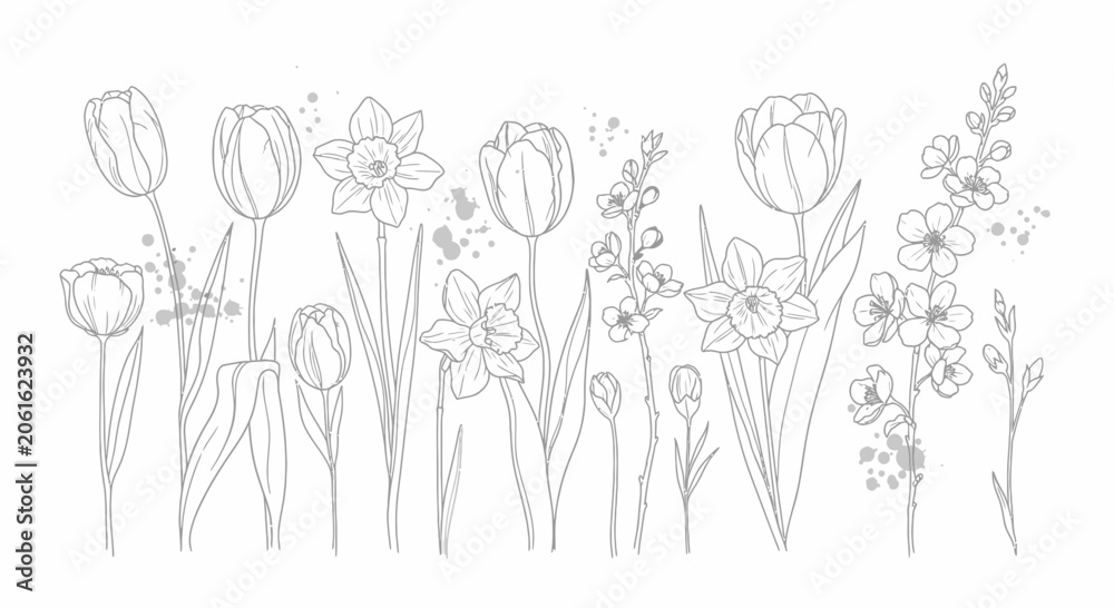 Obraz premium Hand Drawn Spring Flowers Line Art Collection
