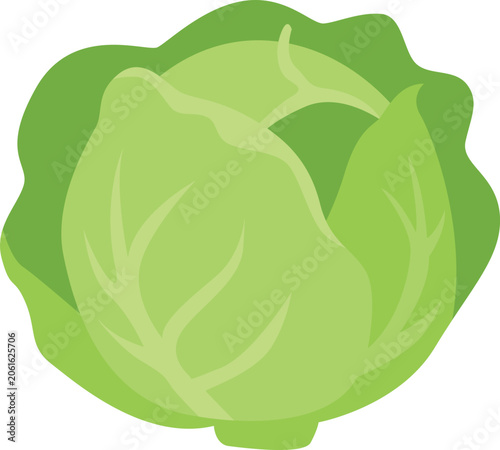 vector illustration of a green pepper