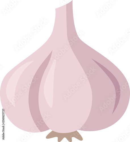 red onion vector illustration