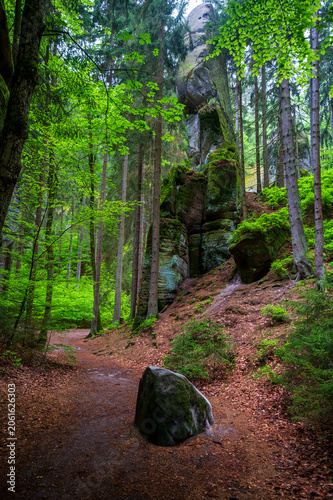 Massive sandstone rock formations along a forest trail in Bohemian Paradise (Cesky raj), Hruba Skala area (Hruboskalsko), Czech Republic, with giant stones rising above woodland path