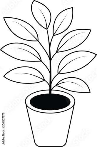 Decorative Indoor Plant Colored Vector Icon for Botanical Design and Nature Theme Transparent Background