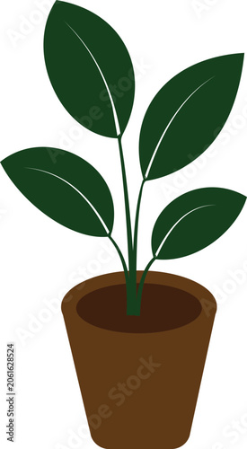 Green Houseplant in Pot Isolated on White Background with Fresh Leaves and Natural Growth Concept