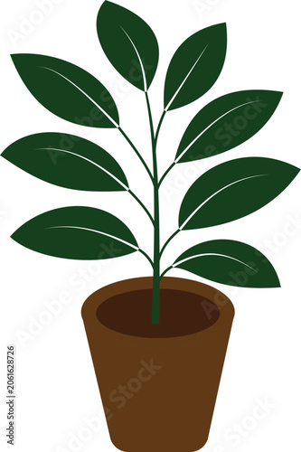 Decorative Indoor Plant Colored Vector Icon for Botanical Design and Nature Theme Transparent Background