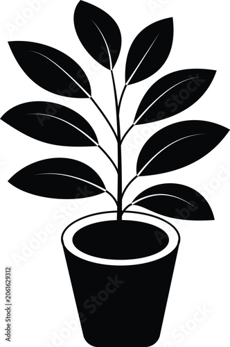 Decorative Indoor Plant Colored Vector Icon for Botanical Design and Nature Theme Transparent Background