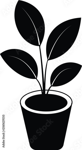Minimal Potted Plant Colored Vector Icon for Indoor Gardening and Home Decoration Transparent Background