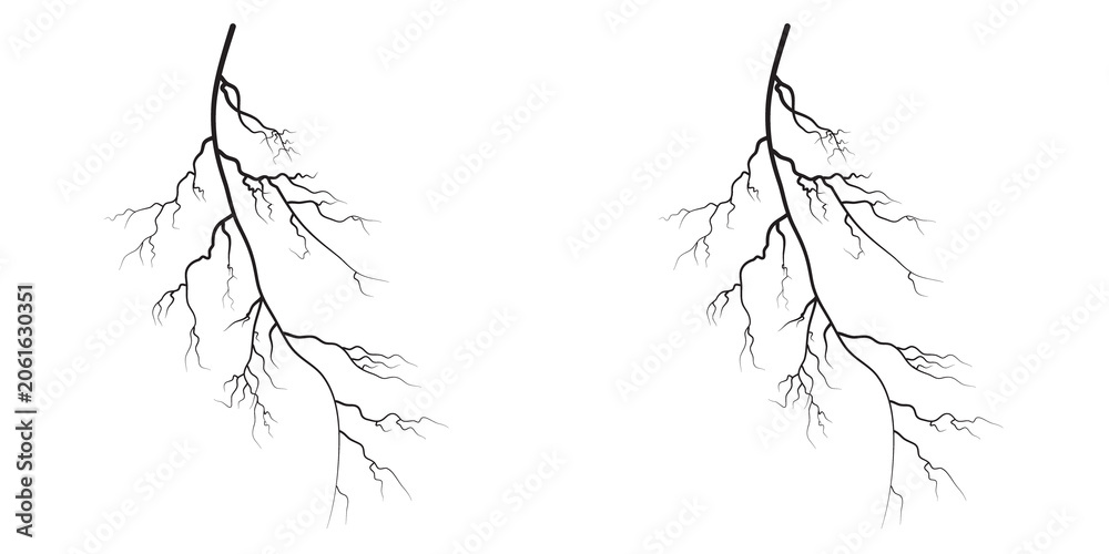 Fototapeta premium Main lightning form Vibrant electric bright, in night environment.