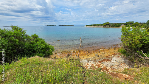 Scenic Coastal Landscape with Clear Water and Greenery