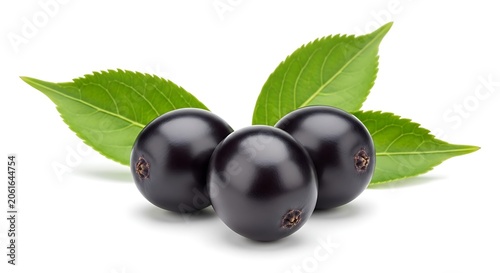 Elderberries with green leaves isolated on white background close up studio shot