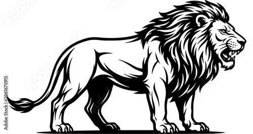 Photography Black and White Lion Profile with Flowing Mane Vector Wildlife Design