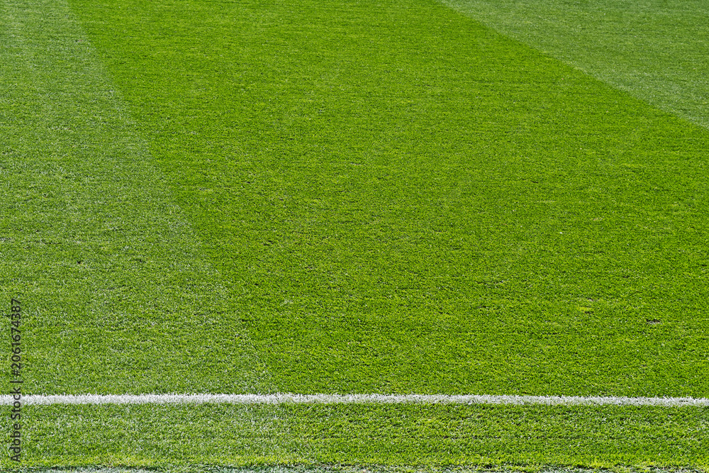 Naklejka premium Detailed view of fresh green grass on a stadium or sports pitch with a crisp white boundary line and mowed stripes