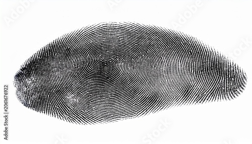 black fingerprint on the white isolated background