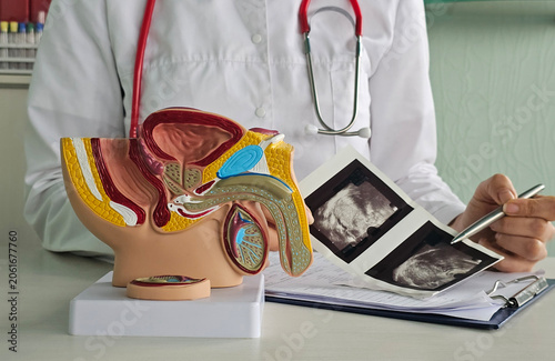 Foto Ultrasound of male genital organs and doctor examines result