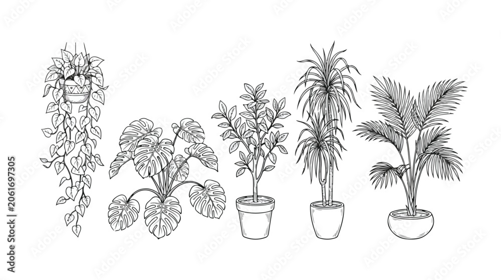 Obraz premium Minimalist line art houseplant collection, set of 5 botanical indoor plant vector illustrations, black and white potted greenery sketches for home decor