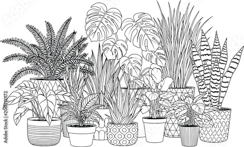 Intricate black and white botanical illustration of a lush indoor jungle with varied plants