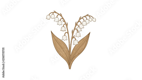 Foto Vintage lily of the valley botanical illustration, hand drawn floral vector bran