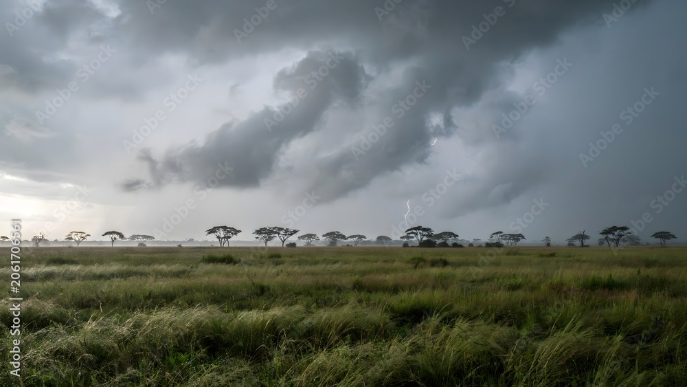 Fototapeta premium Vast African Savanna Under Dark Stormy Sky with Tall Grass and Scattered Trees