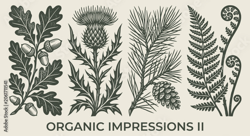 Quadro su tela Antique botanical engraving print set