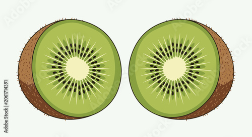 A cartoon slice vector illustration of two kiwis cut in half.