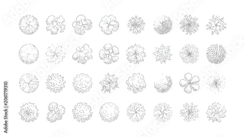 Foto Architectural tree symbols for landscape design, set of 32 hand drawn top view p