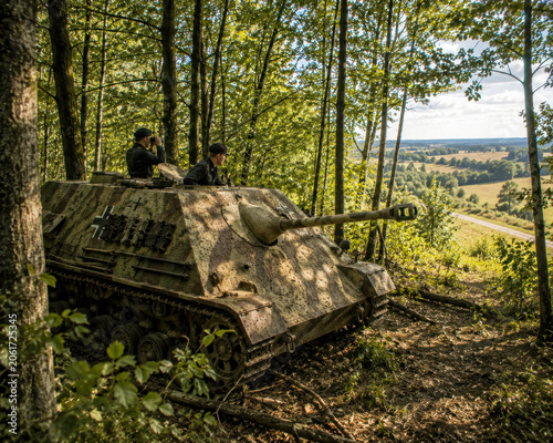 Jagdpanther Tank Destroyer Hidden in Forest Overlook