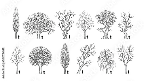 Schilderij op canvas Minimalist architectural tree sketches, set of 12 hand drawn deciduous tree silh