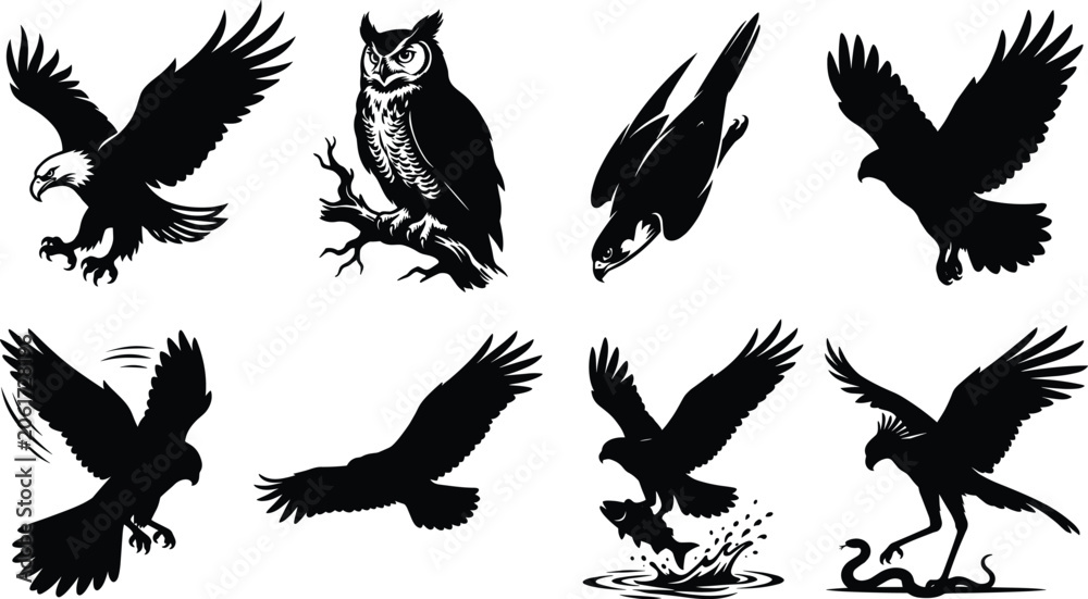 Naklejka premium Birds of prey and raptor wild predators black vector silhouette icons set isolated on white background