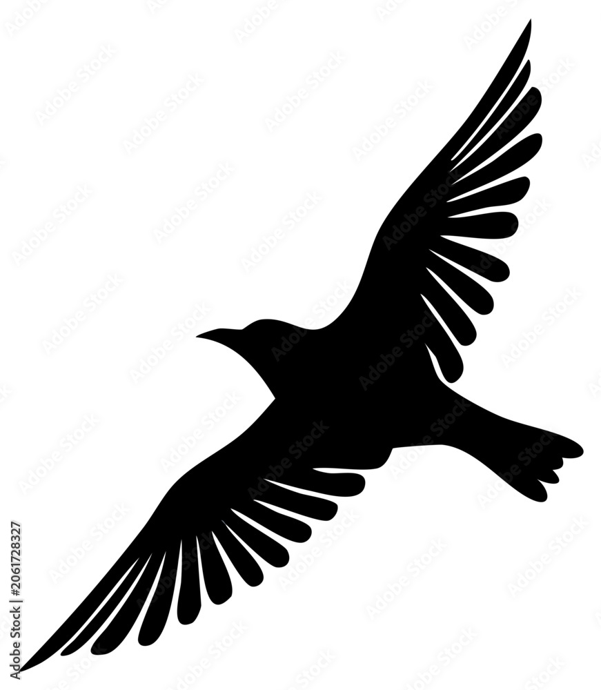 Fototapeta premium Flying crow silhouette in mid-air, wings spread. Isolated black raven. Vector illustration.