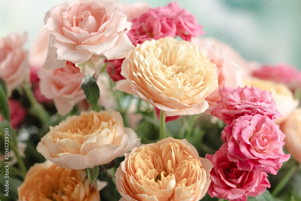 Obraz premium Close up pastel garden roses with pink and cream petals in soft floral arrangement. Colorful flowers festive background. Floral concept.
