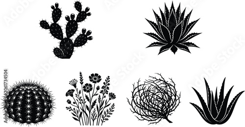 Desert plants and cactus botanical vector black silhouette icons set isolated on white background
