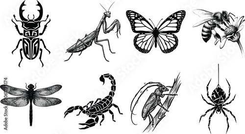 Slika na platnu Insects and bugs detailed black vector illustrations set featuring stag beetle p