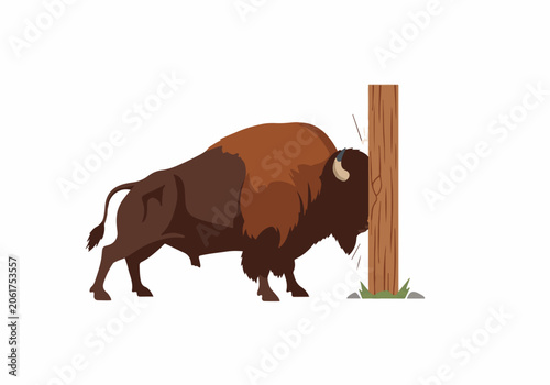 Bison grazing near wooden post in natural environment