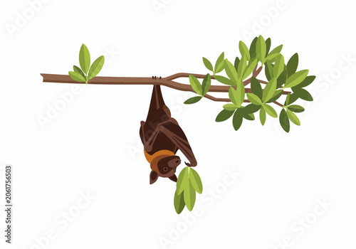 Cute Bat Hanging from Tree Branch in Natural Environment