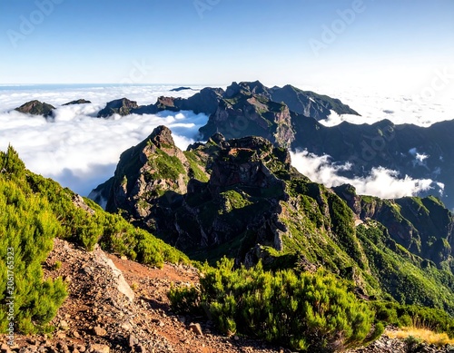 A serene mountain landscape with lush greenery and rugged peaks rising above a sea of clouds under a clear blue sky