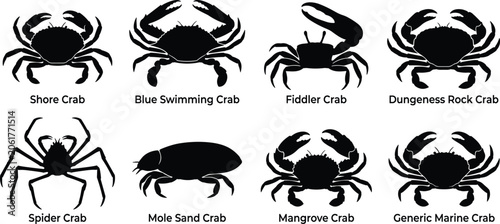 Fotografie Set of crab silhouette vector illustrations featuring shore crab, blue swimming