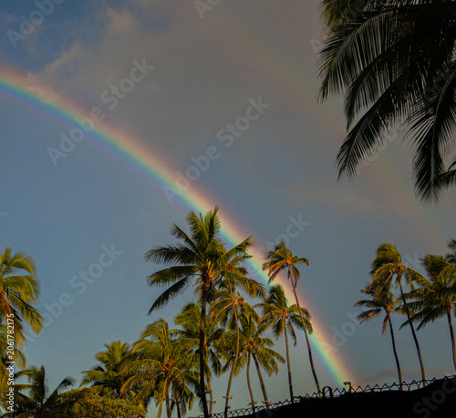 фотографія Tropical Rainbow Arcing Over Palm Trees in Honolulu Hawaii After Rain