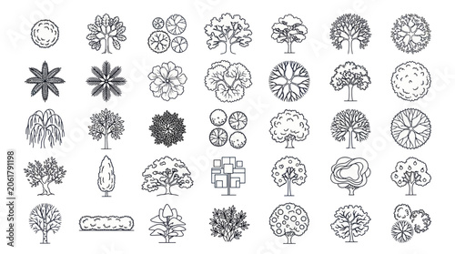 Architectural Tree Symbols Set: Top View and Elevation Drawings