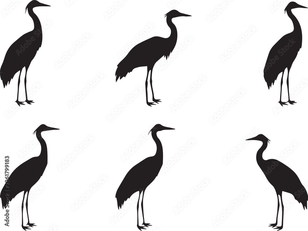 Obraz premium Collection of crane bird silhouettes, elegant wading bird vector illustration set, black wildlife design elements isolated for creative projects